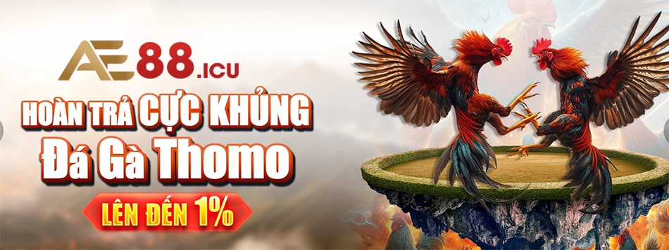 một số Các quy định khi tham gia khuyến mãi AE888 cần lưu ý