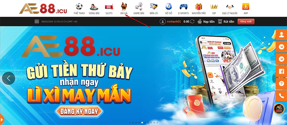 cách Hướng dẫn tham gia Đá gà AE888 nhanh chóng
