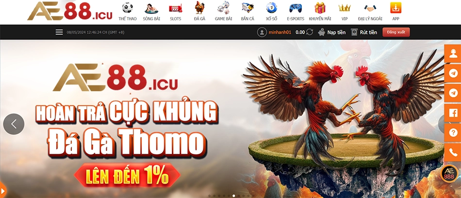 những Ưu điểm khi tham gia cược đá gà trực tuyến tại AE888